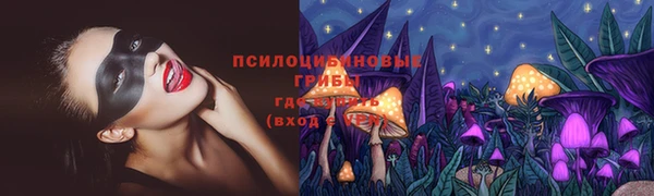 крисы Алзамай