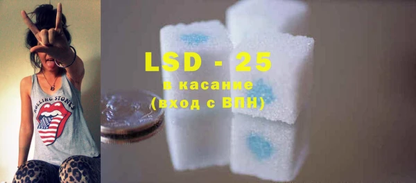 крисы Алзамай