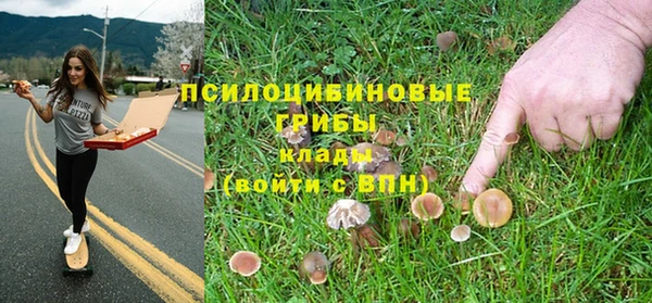 COCAINE Алексеевка