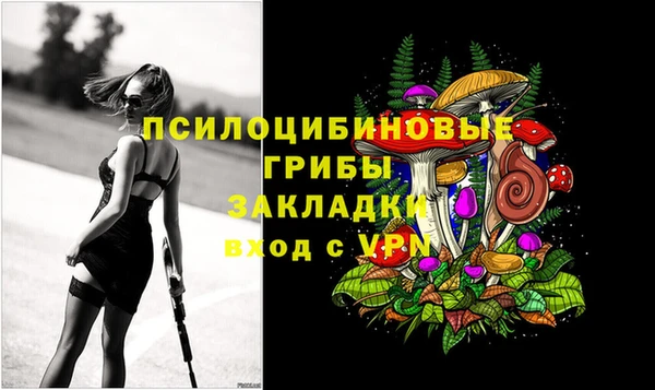 крисы Алзамай