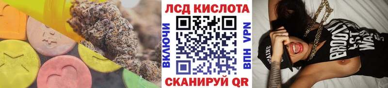наркотики  Петрозаводск  ЛСД экстази кислота 